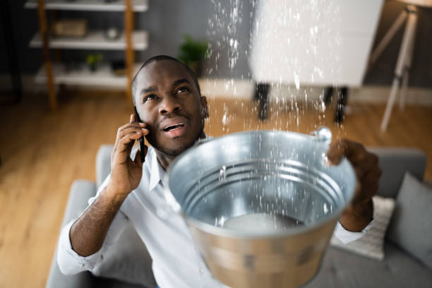 Best Water damage mitigation services  in Norwood, NJ