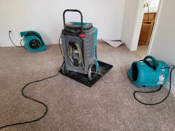 Best Water damage restoration near me  in Norwood, NJ
