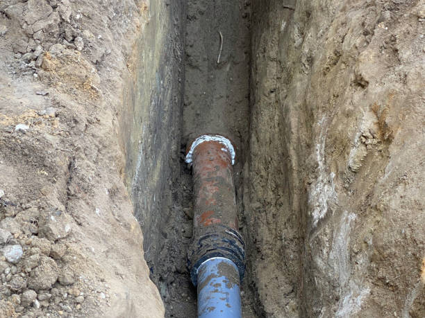 Best Flood restoration services  in Norwood, NJ