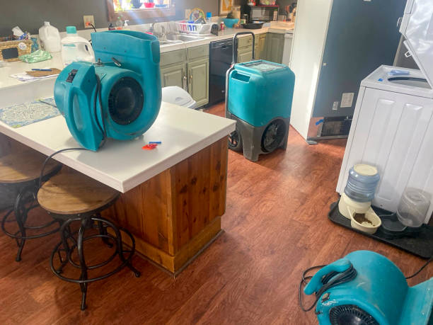 Best Mold removal after water damage  in Norwood, NJ