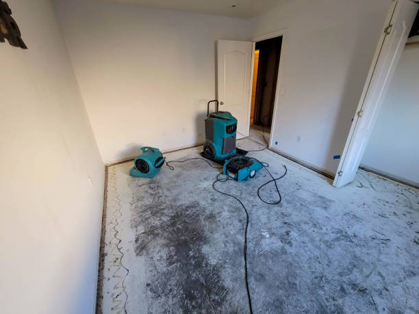 Best Water damage restoration company  in Norwood, NJ