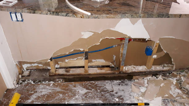 Best Fire Damage Restoration  in Norwood, NJ