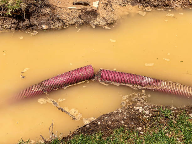 Best Local water damage restoration  in Norwood, NJ