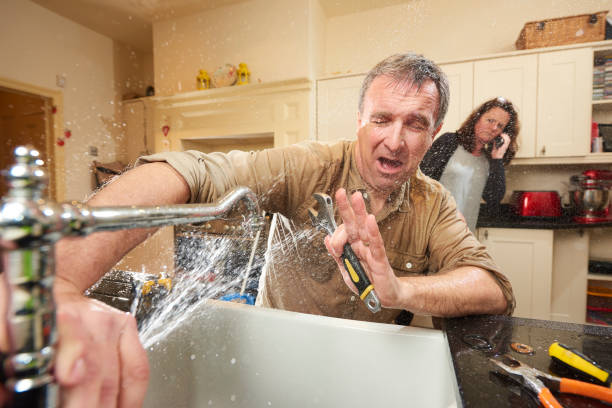 Best Flooded house restoration  in Norwood, NJ